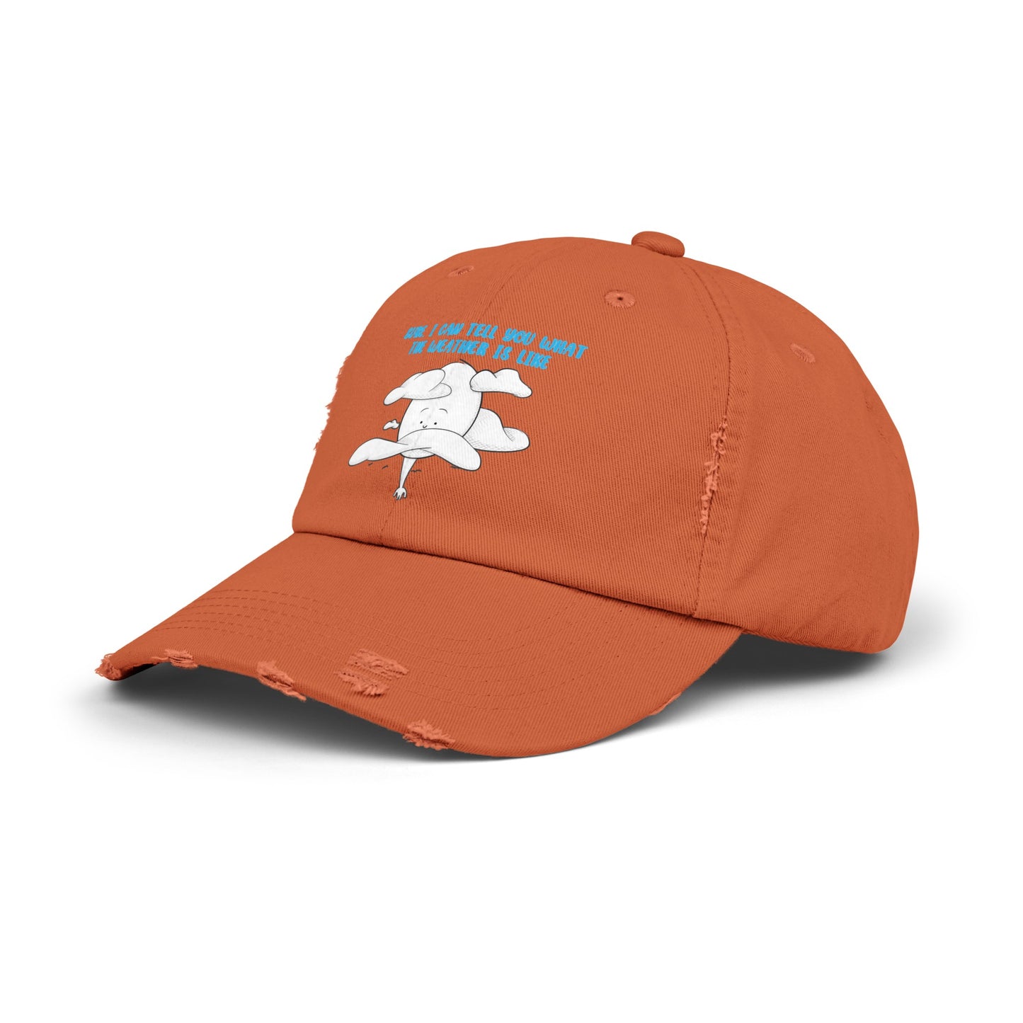 Tall Weather Forecast - Distressed Cap