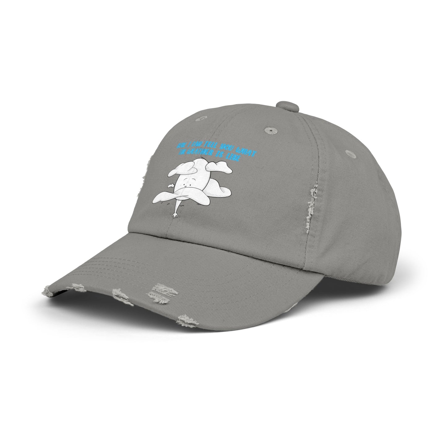 Tall Weather Forecast - Distressed Cap